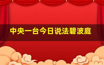 中央一台今日说法碧波庭