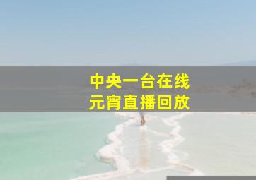 中央一台在线元宵直播回放