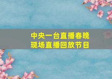 中央一台直播春晚现场直播回放节目