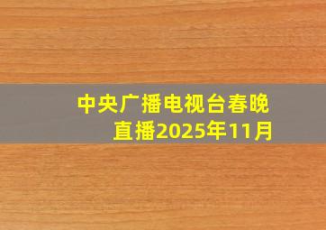 中央广播电视台春晚直播2025年11月