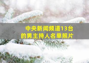 中央新闻频道13台的男主持人名单照片