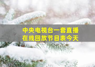 中央电视台一套直播在线回放节目表今天