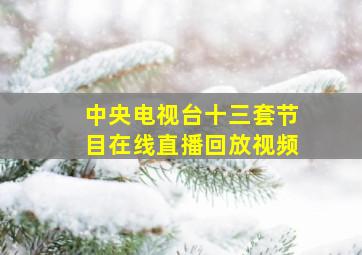 中央电视台十三套节目在线直播回放视频