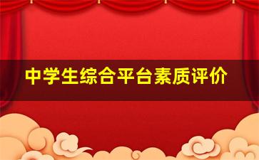 中学生综合平台素质评价