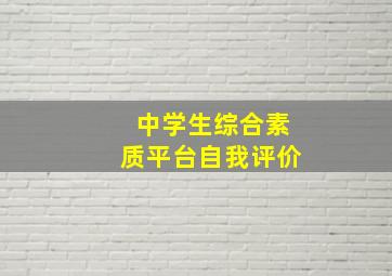 中学生综合素质平台自我评价