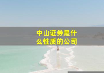 中山证券是什么性质的公司