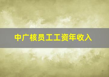 中广核员工工资年收入