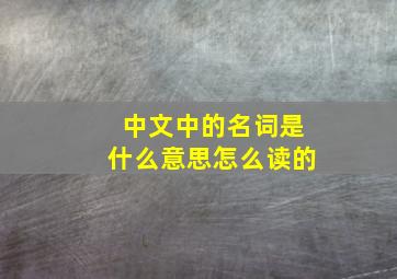 中文中的名词是什么意思怎么读的