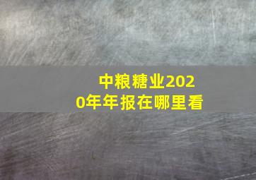 中粮糖业2020年年报在哪里看