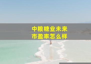 中粮糖业未来市盈率怎么样