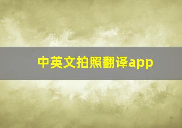 中英文拍照翻译app