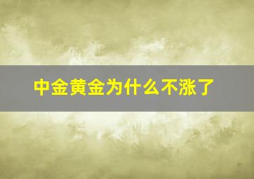 中金黄金为什么不涨了