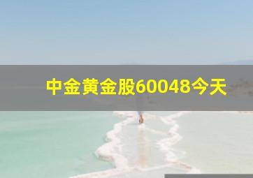 中金黄金股60048今天