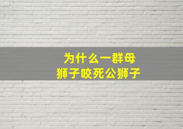 为什么一群母狮子咬死公狮子