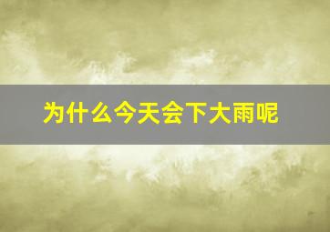 为什么今天会下大雨呢