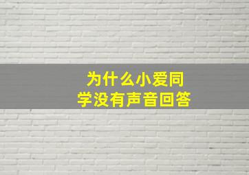 为什么小爱同学没有声音回答