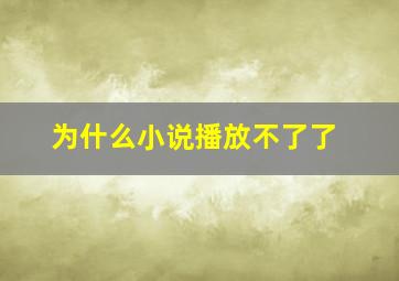 为什么小说播放不了了