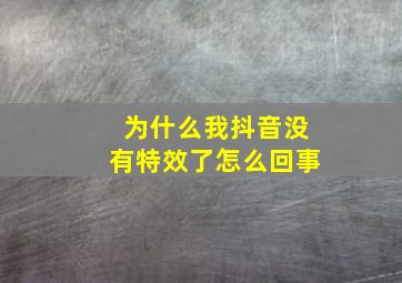 为什么我抖音没有特效了怎么回事