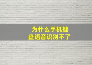 为什么手机键盘语音识别不了