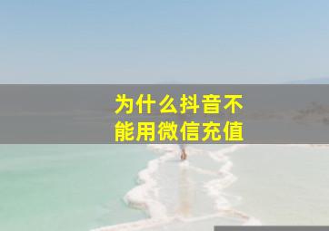 为什么抖音不能用微信充值