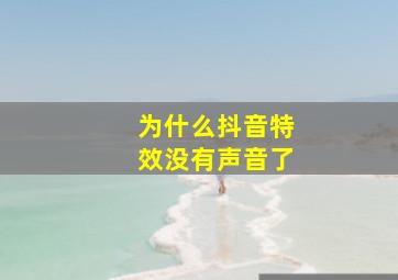 为什么抖音特效没有声音了