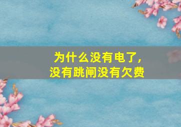 为什么没有电了,没有跳闸没有欠费