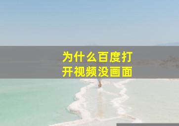 为什么百度打开视频没画面