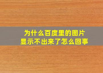 为什么百度里的图片显示不出来了怎么回事