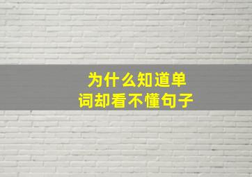 为什么知道单词却看不懂句子