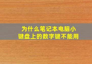 为什么笔记本电脑小键盘上的数字键不能用