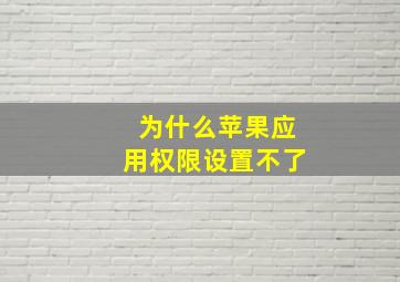 为什么苹果应用权限设置不了