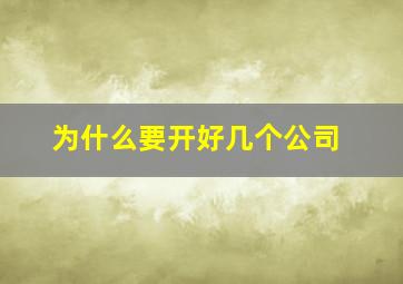 为什么要开好几个公司