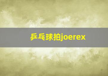 乒乓球拍joerex