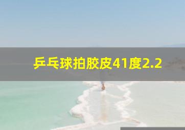 乒乓球拍胶皮41度2.2