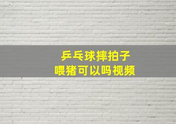 乒乓球摔拍子喂猪可以吗视频