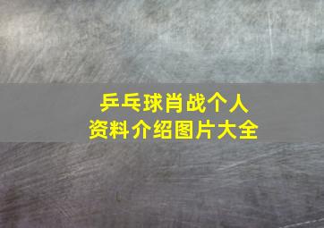 乒乓球肖战个人资料介绍图片大全