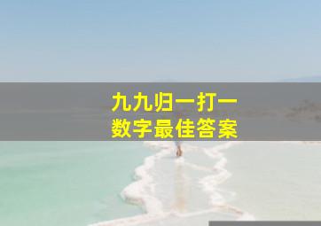 九九归一打一数字最佳答案