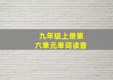 九年级上册第六单元单词读音