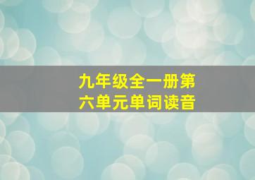 九年级全一册第六单元单词读音