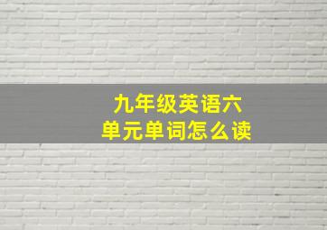 九年级英语六单元单词怎么读