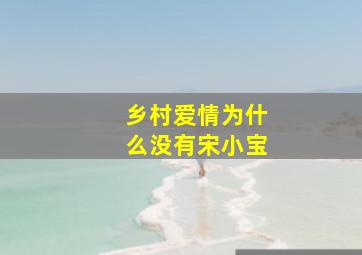 乡村爱情为什么没有宋小宝