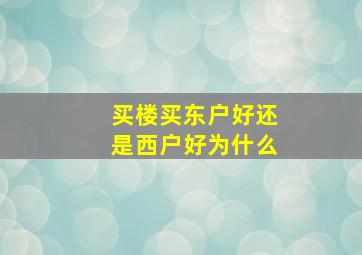 买楼买东户好还是西户好为什么