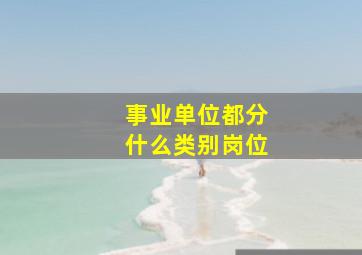 事业单位都分什么类别岗位