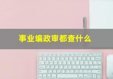 事业编政审都查什么