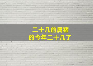 二十几的属猪的今年二十几了