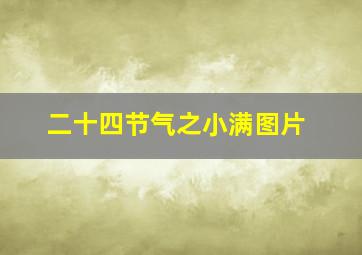 二十四节气之小满图片