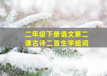 二年级下册语文第二课古诗二首生字组词