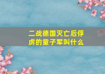 二战德国灭亡后俘虏的童子军叫什么