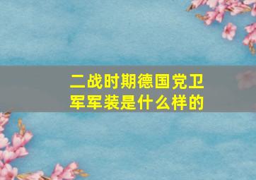 二战时期德国党卫军军装是什么样的