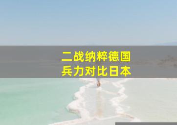 二战纳粹德国兵力对比日本